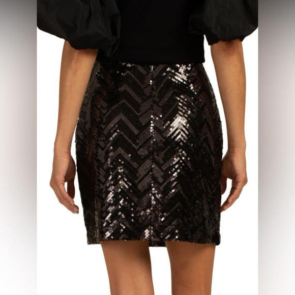 TRINA TURK
Rico Zigzag Sequin Miniskirt
Size 6 - Picture 6 of 12